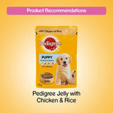 Pedigree Puppy Pouch With Chicken & Rice In Jelly 100g - Pack of 12