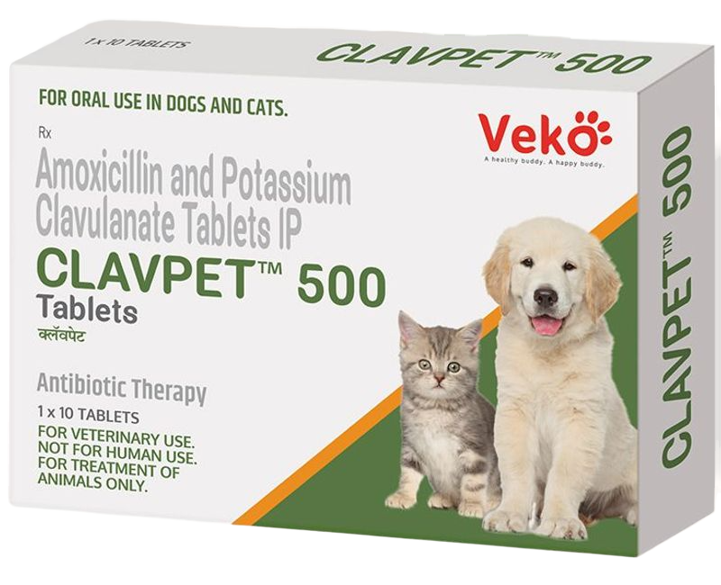 Veko Clavpet 500 – Amoxicillin & Clavulanate Tablets for Dogs & Cats