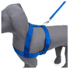 Kennel Premium Nylon Body (1 1/4")