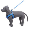 Kennel Blue Bash Print Step In Harness