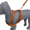 Kennel Padded Nylon Body (1 1/4")