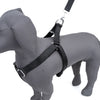 Kennel Foam Padded Soft Nylon Adjustable Harness ( 1 1/4")