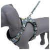 Kennel Green Bones Print Full Body Harness