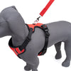 Kennel Full Body Harness (Large - 30")