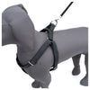 Kennel Premium All Over Reflective Padded Nylon Click Lock Adjustable Harness
