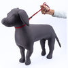 Kennel Nylon Show Leash