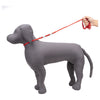 Kennel Nylon Show Leash Tubler