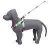 Kennel Multi Memes Printed Padded Click Lock Adjustable Harness