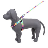 Kennel Multi Memes Printed Padded Click Lock Adjustable Harness