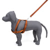 Kennel Padded Nylon Body (1 1/4")