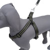 Kennel Padded Nylon Pattern Adjustable Harness (1 1/4")