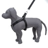 Kennel Foam Padded Soft Nylon Adjustable Harness ( 1 1/4")