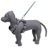 Kennel Green Bones Print Full Body Harness