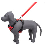Kennel Full Body Harness (Large - 30