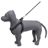 Kennel Premium All Over Reflective Padded Nylon Click Lock Adjustable Harness