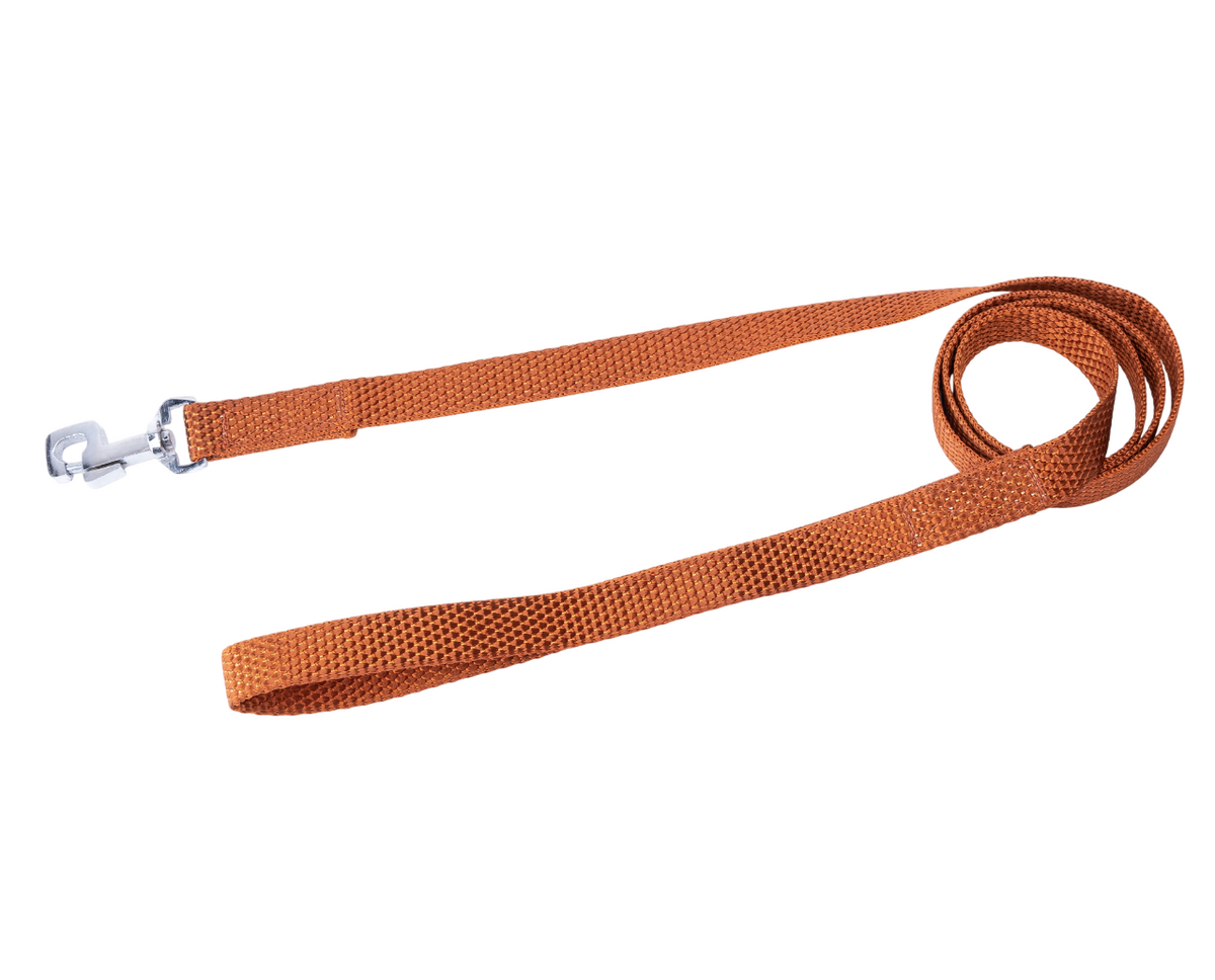 Kennel Nylon Leash (3/4") (48")