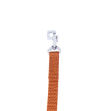 Kennel Nylon Leash (3/4") (48")