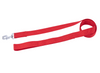 Kennel Nylon Leash (1") (48")