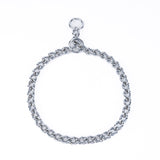 Kennel Chain Collar