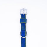 Kennel Nylon Dotzy Collar