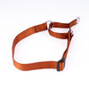 Kennel Nylon Martingale Collar (1 1/4")