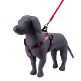 Kennel Printed Padded Click Lock Adjustable Harness