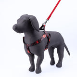 Kennel Printed Padded Click Lock Adjustable Harness (1")