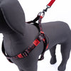Kennel Printed Padded Click Lock Adjustable Harness