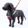 Kennel Printed Padded Click Lock Adjustable Harness (1")