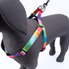 Kennel Printed Padded Click Lock Adjustable Harness (1")