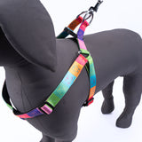 Kennel Printed Padded Click Lock Adjustable Harness (1")