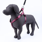 Kennel Printed Padded Click Lock Adjustable Harness (1