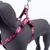 Kennel Printed Padded Click Lock Adjustable Harness (1")