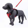 Kennel Full Body Harness (Large - 30")