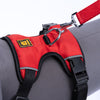 Kennel Full Body Harness (Large - 30")