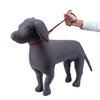 Kennel Nylon Show Leash