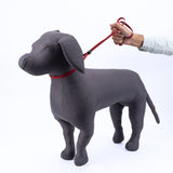 Kennel Nylon Show Leash