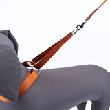 Kennel Nylon Martingale Collar (1 1/4")