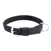Kennel Nylon Collar