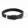 Kennel Nylon Collar