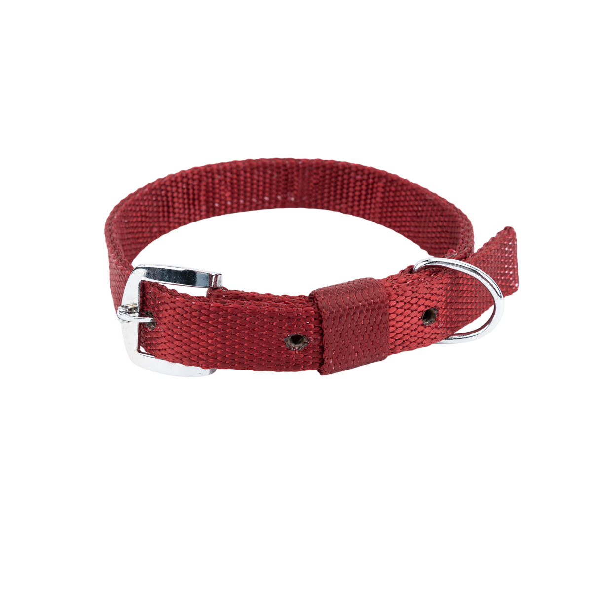 Kennel Premium Nylon Collar