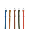 Kennel Nylon Dotzy Collar