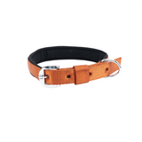 Kennel Padded Nylon Collar