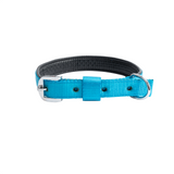 Kennel Foam Padded Nylon Collar