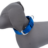 Kennel Premium Nylon Collar