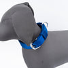 Kennel Premium Nylon Collar