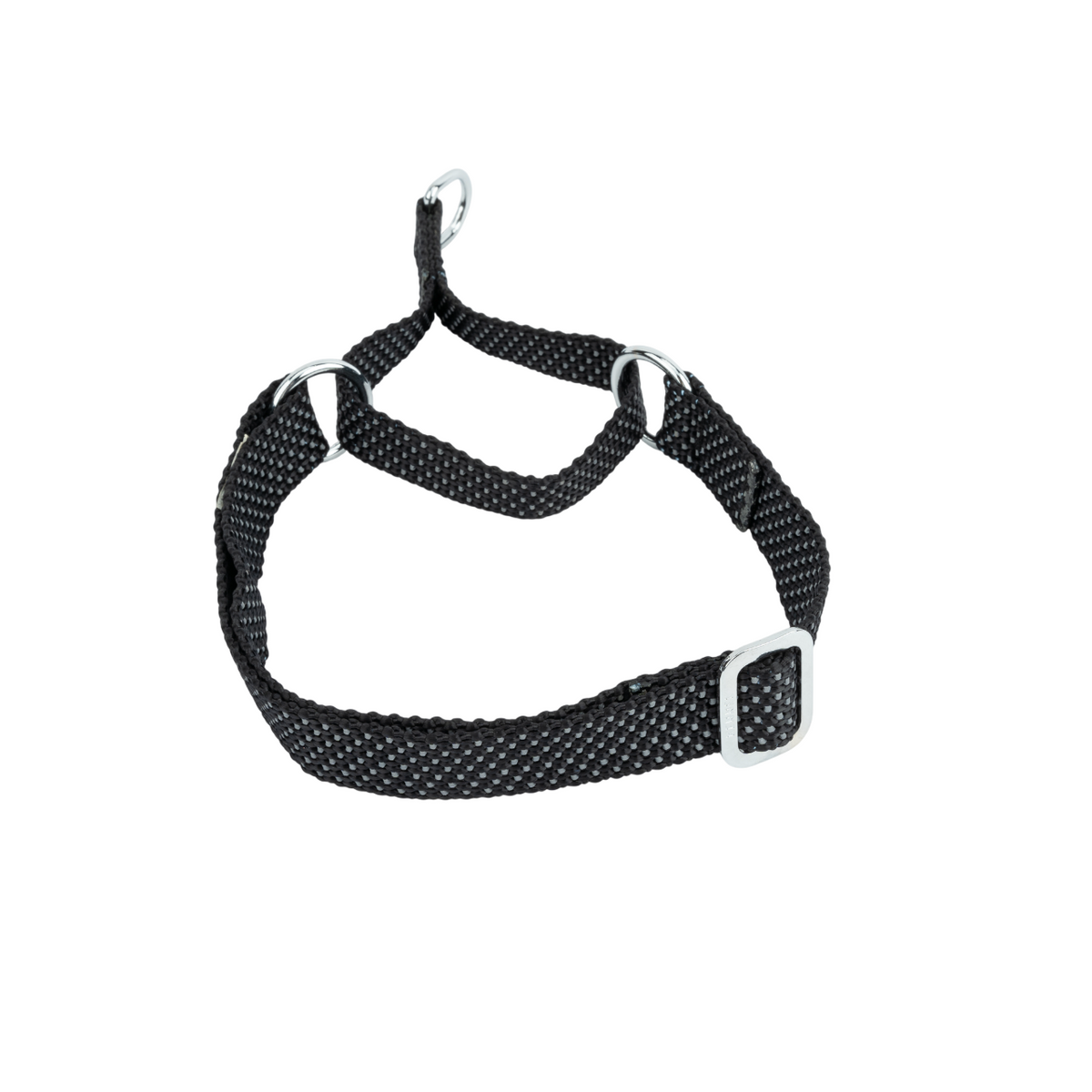Kennel Premium All Over Reflective Nylon Martingale Collar