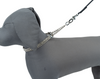 Kennel M.S. Semi Chain Collar