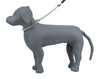Kennel M.S. Chain Collar