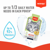 Wanpy Meat Broths Chicken With Pumpkin & Carrot Cat Pouch